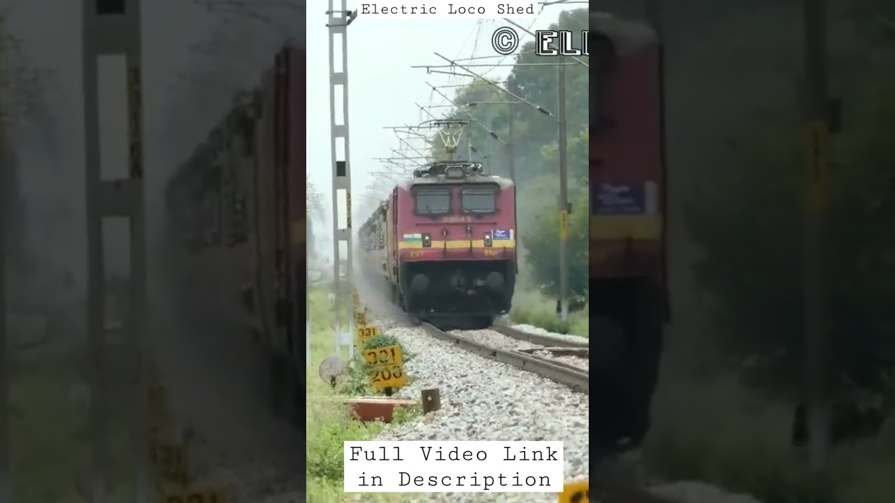 Face to Face with a WAP 4 !! 