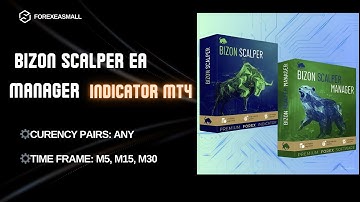 Bizon Scalper EA Manager Indicator MT4 - Review and how to set up