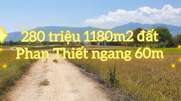 Bán Đất Phan Thiết Giá Rẻ | 1180m2 bán 280 triệu ngang 60m  đất vườn sổ riêng