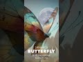 Butterfly  sar kamlers duduk single uplifting  instrumental music dudukmusic butterfly