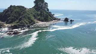 maiquillahue 2021 isla de los pingüinos