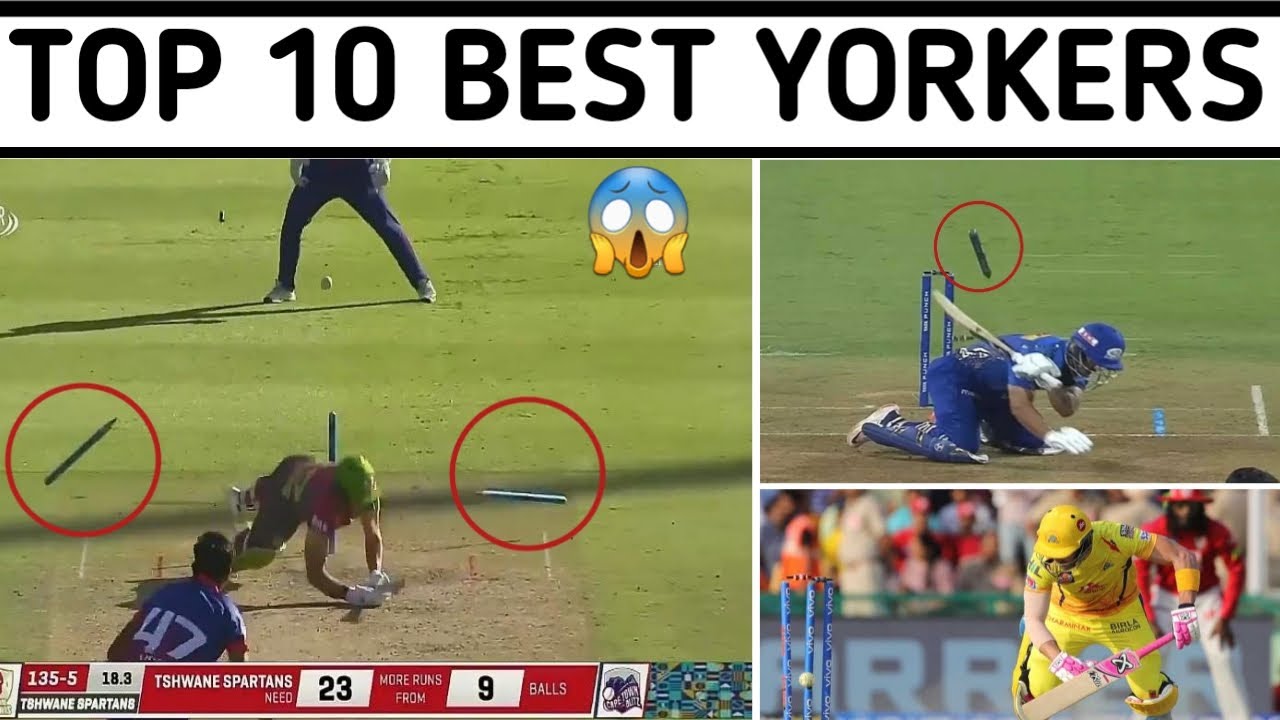YORKERS | Top 10 Best Yorkers in Cricket History Ever - YouTube