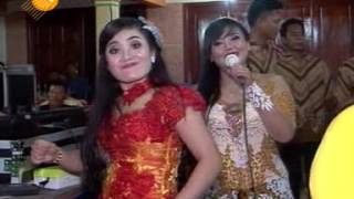 tak tunggu balimu - campursari supra nada live plumutan, gondang sragen