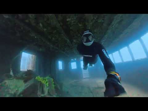 Pelstastis 360°