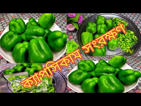 সারাবছর ক্যাপসিকাম সংরক্ষণ করার পদ্ধতি ||how to store Capsicum ||store