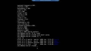 Managing groups on Ubuntu Server