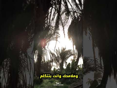 يا وجع القلب