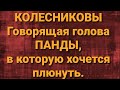 Семья Колесниковых/Новости из Дворца.