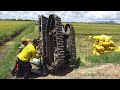 Cảnh máy kéo xuống dốc hỗng hai bánh lên trời xém lộn cù mèo luôn tractor