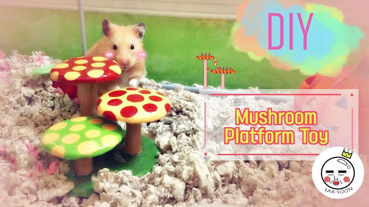 mushroom hamster