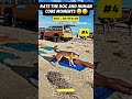 Rate the dog and human core moments #ranking #funny #dog #pets #shorts