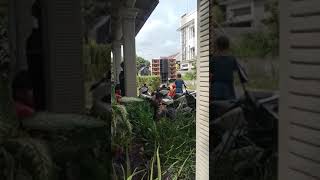 shorts Box Dragon Box Baru  Cek Sound Brewog  12 Subwoofer