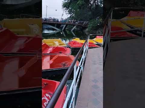 ধানমন্ডি লেক২০২৬#viral #video #videos #MsMusicstation