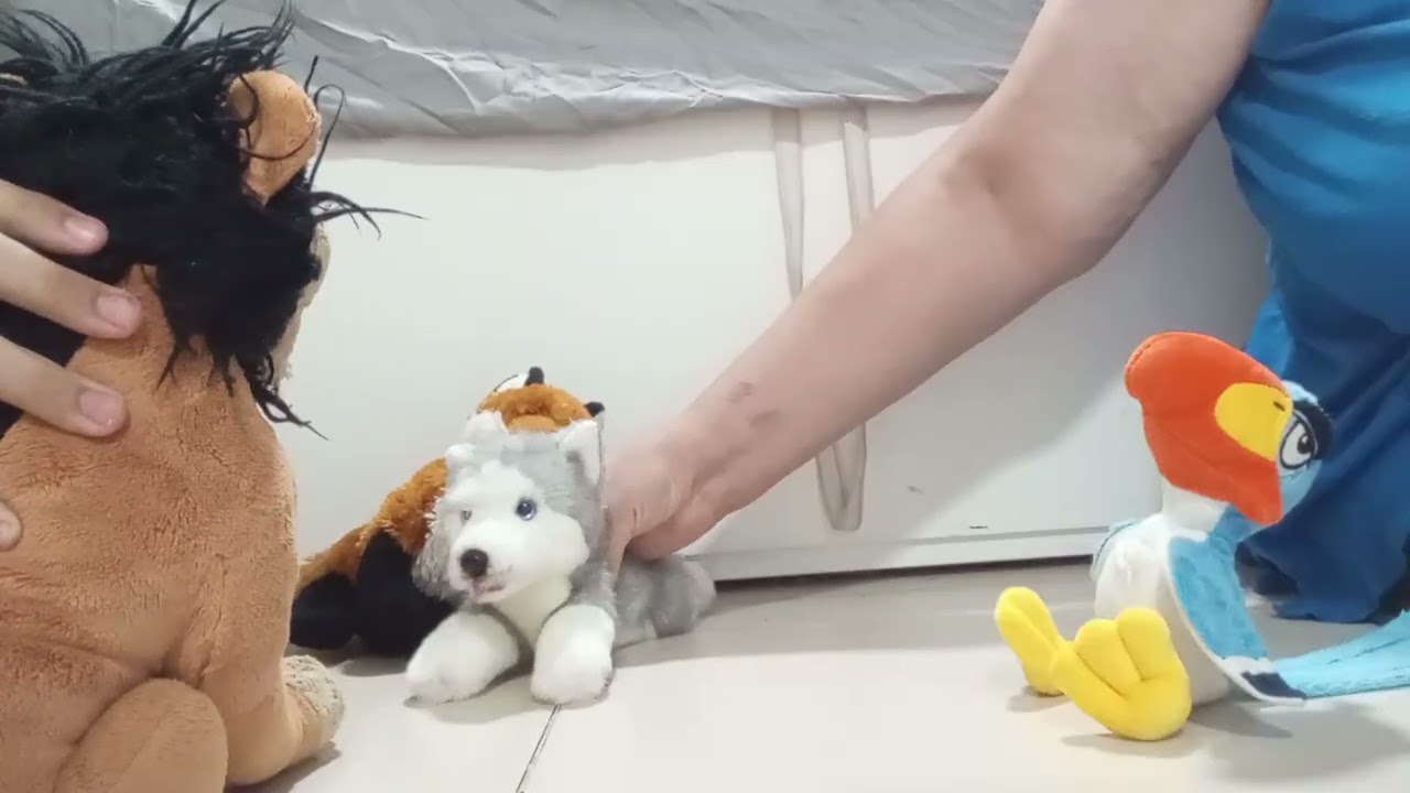 איש לא ידע מה רב כאבי