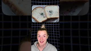 You Should Never Eat The Clean Parts Of Moldy Bread