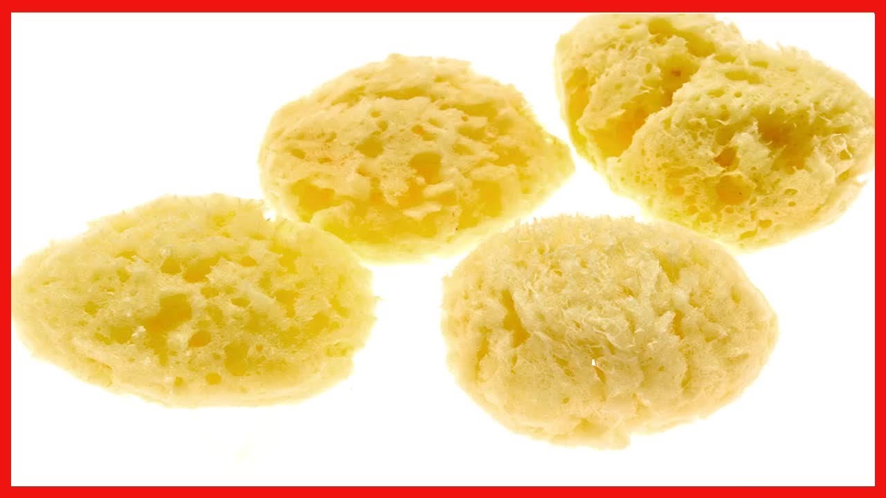 Evergreen Pet Supplies 4-Pack of Natural Hermit Crab Sea Sponges - All Natural Sponge for Crabs