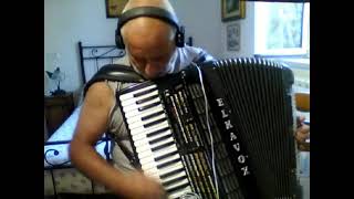 Fisarmonica solare - polka - live - FRANCO CAVALLARI