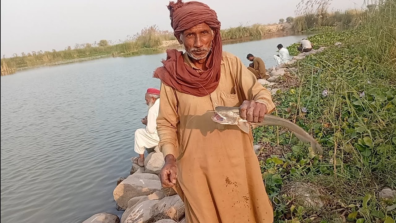 AJ chira fish or Mali large size very emzing 