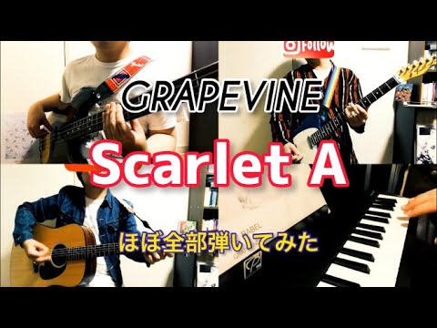 GRAPEVINE ”Scarlet A” をバンドマンがほぼ全部弾いてみた