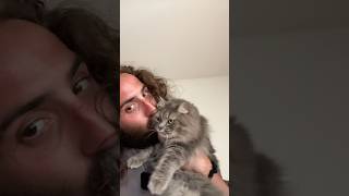 Daily Kisses with Rainey #catdad #catlife