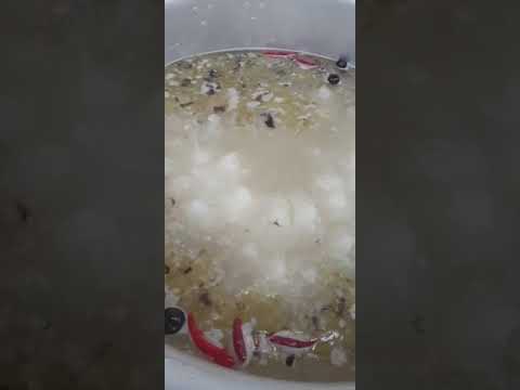 رز ابو كاس رز شعبي