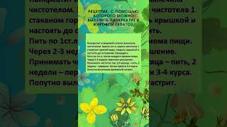 Рецептик, с помощью которого можно вылечить панкреатит и жировой гепатоз.. #Shorts #Шортс #Рецепты