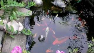 SANY0004.MP4