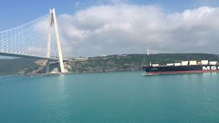 Turkey Bosporus Strait Container Ship Company Msc