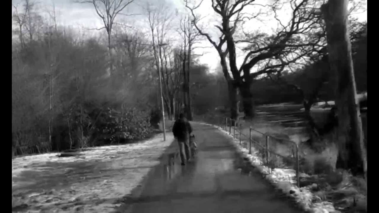 Massive attack teardrop kind of {Monkey Style Beats  Follow you} Trip hop-Hip hop-Muddling