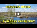 Весна в селі, в умовах карантину