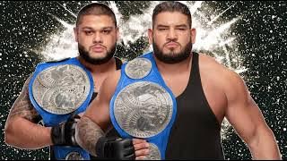 WWE - 'Pain' ▶ (Authors of Pain (AOP) Theme Song) 2019 ᴴᴰ