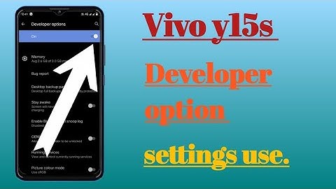 Vivo y15s How to developer option on settings hidden features use