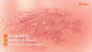 Ultimate Pet Skin Spray Sooth, Protect, And Heal Your Pets Skin