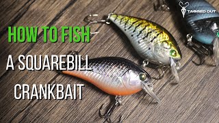 스퀘어빌 크랭크베이트 낚시 방법 screenshot 5