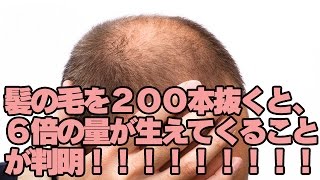 【2ch】髪の毛を２００本抜くと、６倍の量が生えてくることが判明