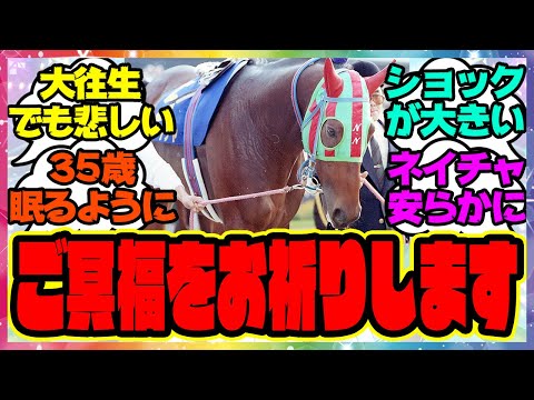 寄付『ナイスネイチャ死す、35歳。存命のJRA重賞勝ち馬では最高齢』に対するみんなの反応集 まとめ ウマ娘プリティーダービー レイミン 誕生日