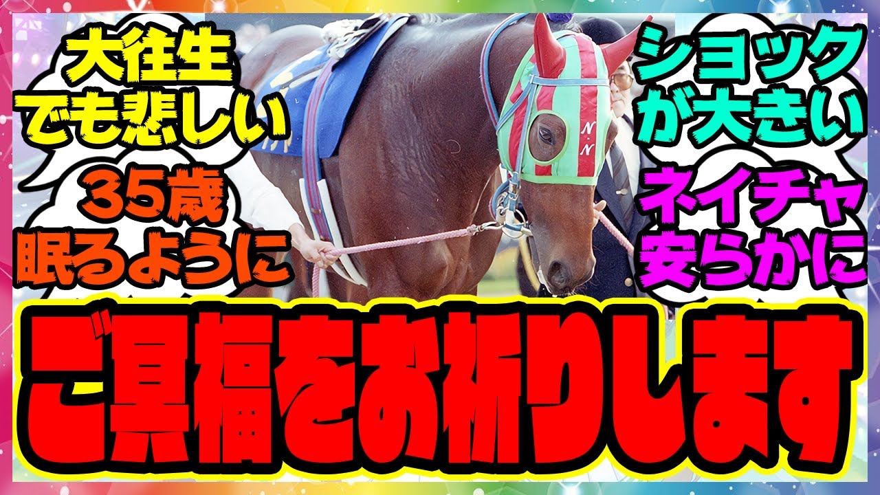 寄付『ナイスネイチャ死す、35歳。存命のJRA重賞勝ち馬では最高齢