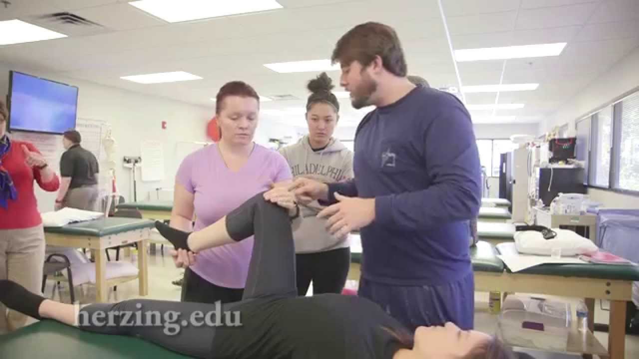 Herzing The Physical Therapist Assistant Major YouTube