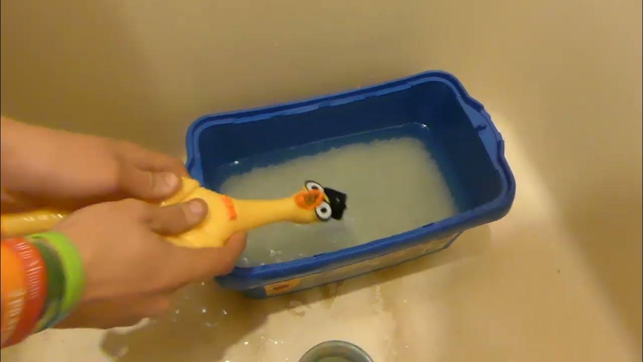 drowning a rubber chicken YouTube