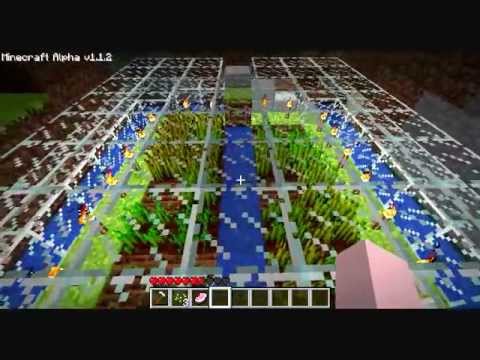 My Greenhouse in Minecraft