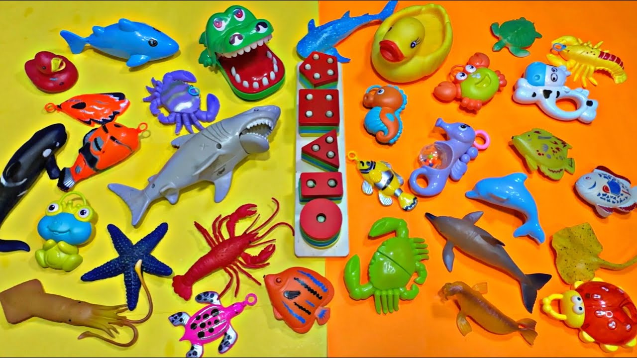 🪼ASMR_Video * Lakeshore Classic Ocean Animals Collection I No Talking *