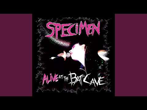 Specimen — Death Drive (Live)