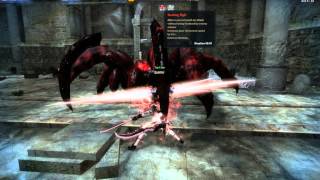 Vindictus - Vella at Hidden (Graphics recording test)