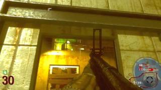 Call of Duty Black Ops: Ascension, Round 30 (Monkeys)