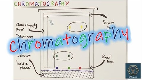Chromatography & RF Calculations | GCSE - If Confused, This Surprisingly Simple Explanation May Help