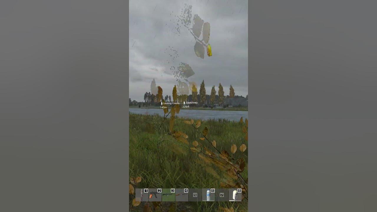 DayZ Bringing a smoke grenade to a gun fight shorts YouTube