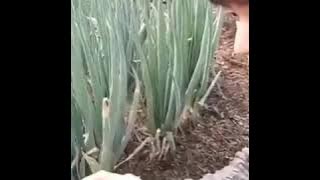 BTOB Sungjae Funny Moments