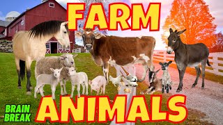 FARM ANIMALS | WOULD YOU RATHER BRAIN BREAK EXERCISE FOR KIDS.