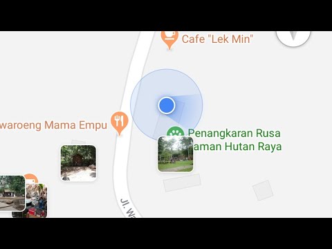 Penangkaran Rusa Taman Hutan Raya Bandar Lampung Anak Kecil Lucu