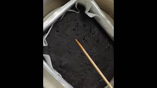 Cake recipe with easy method #ASMR #CAKE